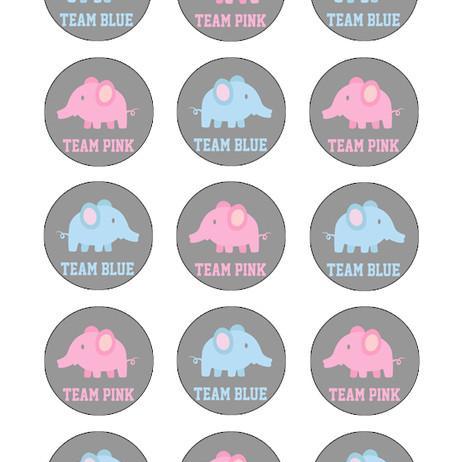 GENDER REVEAL BABY SHOWER CUPCAKE TOPPERS WAFER PAPER EDIBLE MULTIPLE DESIGNS